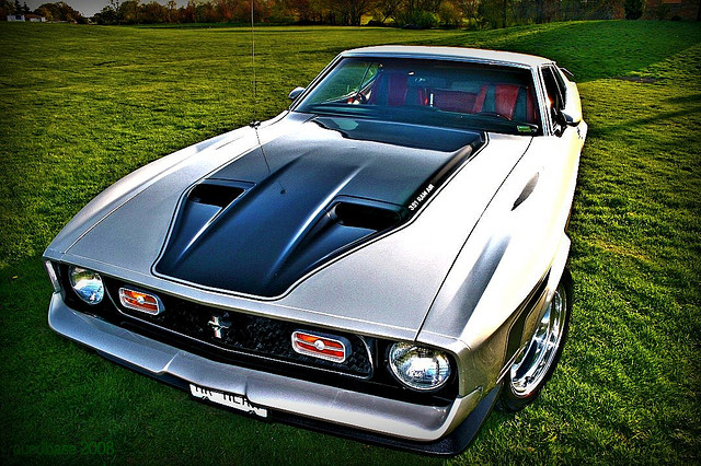 1971 Ford Mustang Muscle Car
