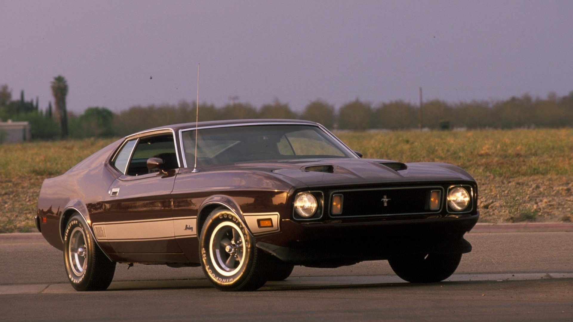 The 1973 Ford Mustang